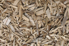 biomass boilers Odstone